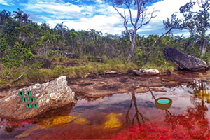 ��������ɽ��