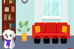 ��ԮŮ�ӵĳ���Ȯ