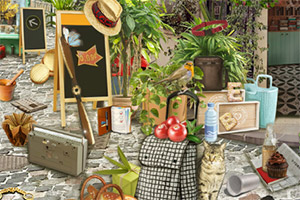 ���������ʦ