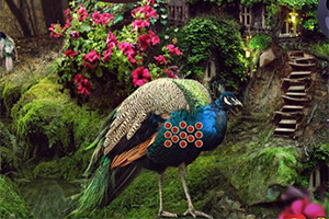 ������ʥ��û�԰