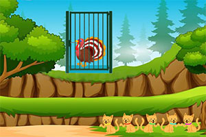 ���л�����