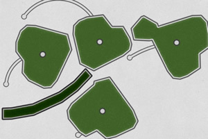 ���ɰ�֮��Ȼ��Ʒ