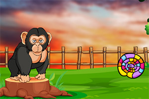 ��Ԯ�����Ĵ�����