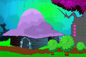 ��쵺����