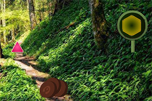 �ȳ�������ʨ��