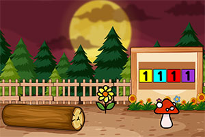 �ӿ���Ƭ����