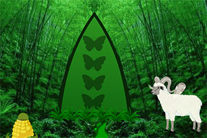 ������������