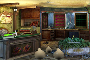 ħ��ʦ����