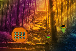 ������������