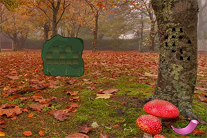 �����ƽ����ɭ��