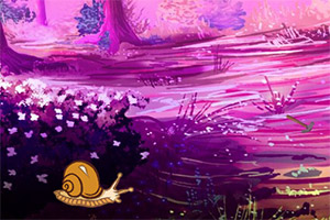 ����ʵ�����