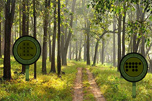 ����������ɫɭ��