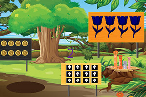 ��Ԯ���ĵ�⨺���