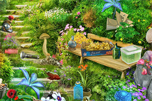 ����ϣ��������