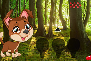 Ѱ��Ů���ѵĹ�