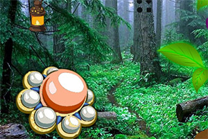 ���صĵط�����