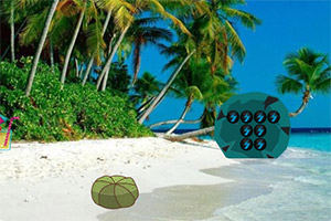 �����ȴ���̲����