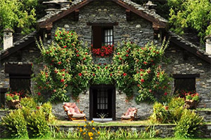 �����С��