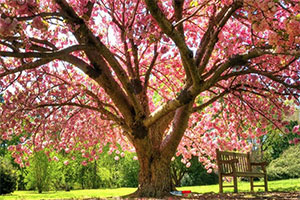 ���밲��������