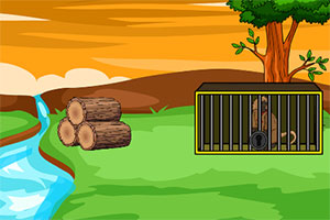 �ȳ�����