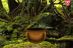 ��Ԯ��ʧ�ĸ���