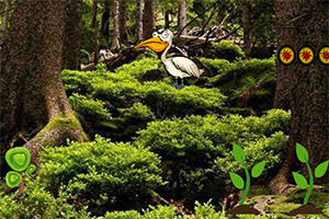 ����С�Ա�