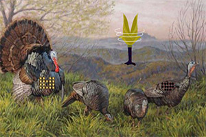 ��Ԯ�𼦹���