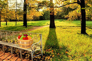 ��Ԯ���׹���