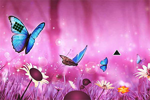 ���������������