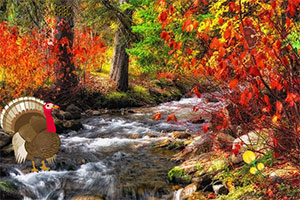 Ѱ����ʧ�Ļ�