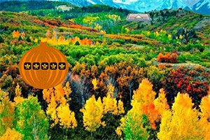 Ѱ�Ҹж��ڻ���