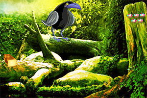 ��ѻɭ�ִ�����