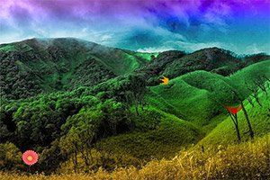 ɽ¹�ӳ�ɽ��