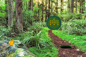 �����۷�����