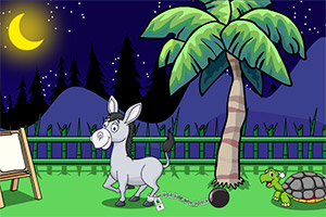 �ɰ���С¿����