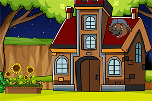 ��Ԯ��Ƥ��Ů��