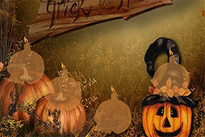 �ȳ��Ϲ�Ů��