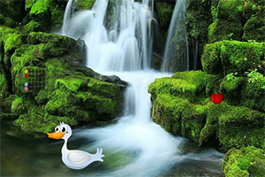 ������ţ����