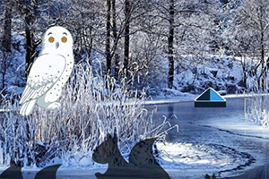 ���붬�^ɭ��