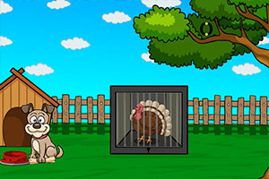 ���ֻ�����