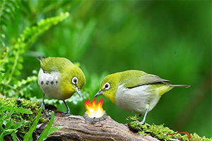 ����½������