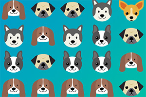 �ɰ�С��������