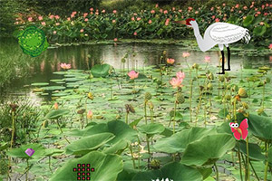 �����׺�����