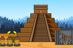 ɽȸ��������