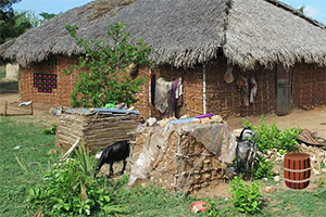 ����ɽ�����