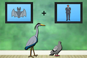 Ѱ���鱾�����