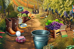 ׳�۵�����԰