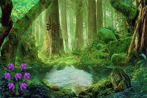 �λð�ɭ������