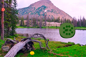 ��������������