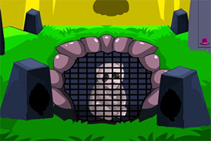 �ȳ�����